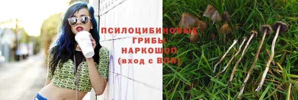 тгк Абинск