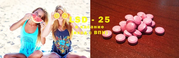 ГАЛЛЮЦИНОГЕННЫЕ ГРИБЫ Абаза