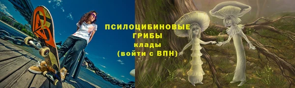 крисы Алексин
