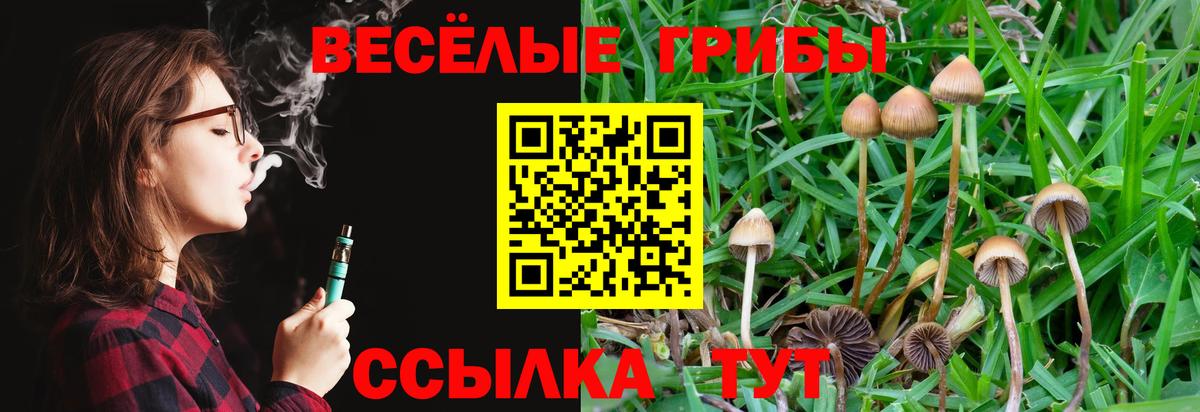 Галлюциногенные грибы мицелий  Вход с VPN  Псилоцибиновые грибы мицелий  где купить   Калининград 